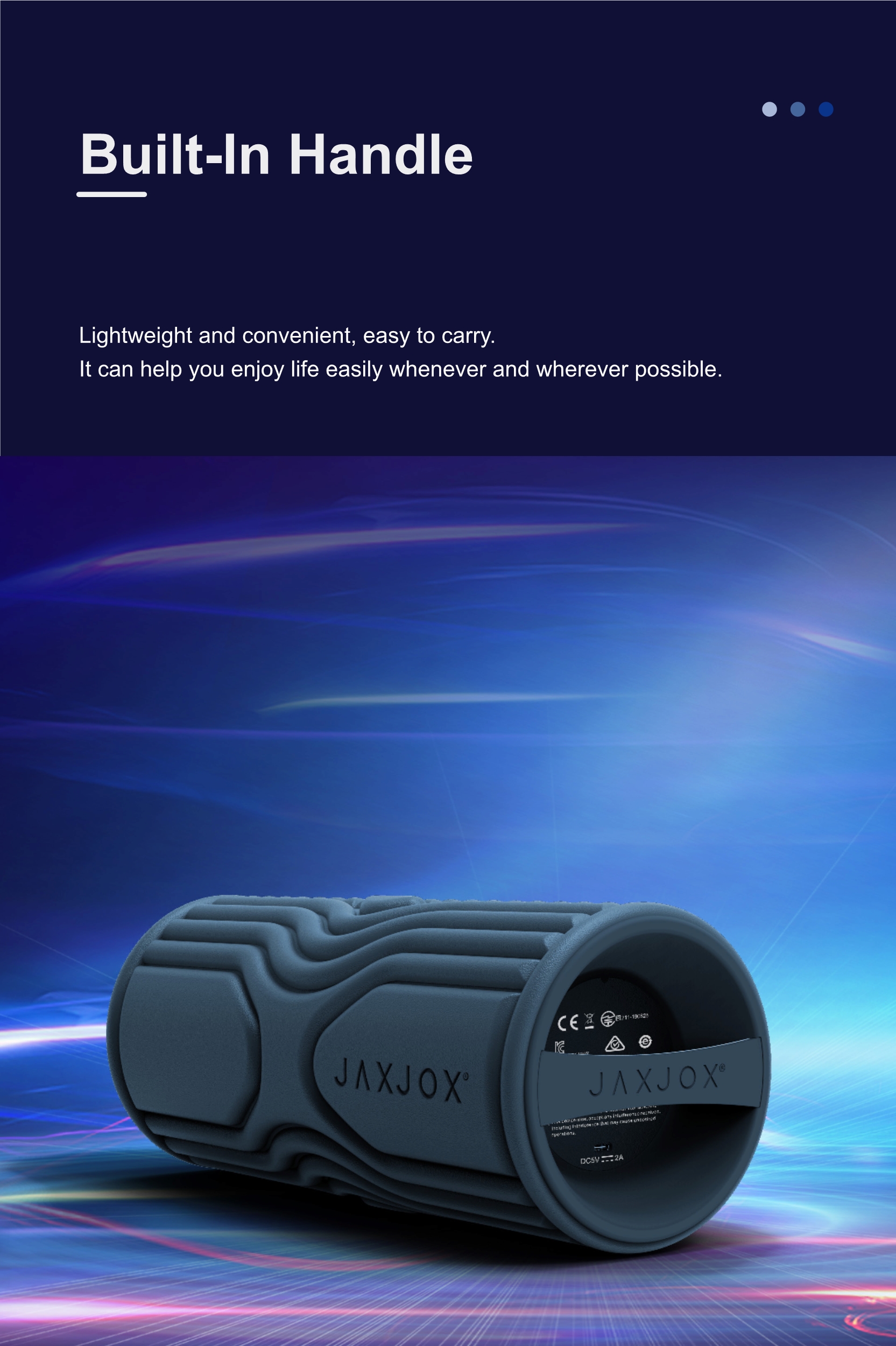 FR100_6